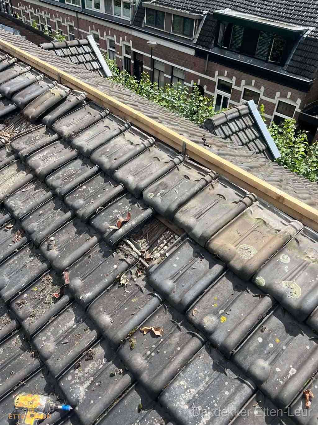 Dakonderhoud Ettenleur Dakonderhoud Ettenleur